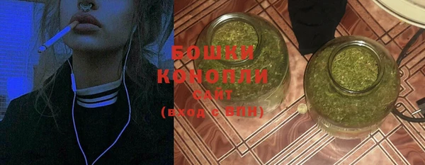 ГАЛЛЮЦИНОГЕННЫЕ ГРИБЫ Строитель